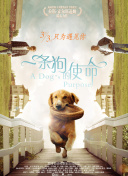 冒险大陆最佳职业选择与玩法解析